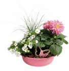 toom Baumarkt Merseburg - Sommerarrangement Angebot im Prospekt Sommerarrangement bei toom Baumarkt im Merseburg Prospekt für 9,99 €