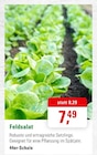 Feldsalat bei ZG Raiffeisen im Prospekt "" für 7,49 €