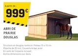 Promo Abri de prairie douglas à 999,00 € dans le catalogue Tout Faire à Puceul