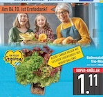 E center Hausham - Ballensalat Trio-Mix Angebot im Prospekt Ballensalat Trio-Mix bei E center im Hausham Prospekt für 1,11 €
