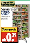 Sämereien Gemüse Angebote von Gartenland Aschersleben bei Wreesmann Bautzen für 0,39 €