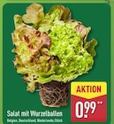 Aktuelle Salat Angebote bei ALDI Nord in Bochum Aktuelles Salat mit Wurzelballen Angebot bei ALDI Nord in Bochum ab 0,99 €