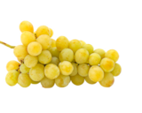 Raisins blancs Italia en promo chez Norma Raisins blancs Italia dans le catalogue Norma