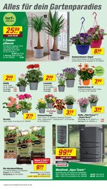 Aktueller toom Baumarkt Prospekt mit Blumen, "Respekt, wer's selber macht.", Seite 6