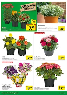 Hagebaumarkt Prospekt der Woche "SO günstig geht das!" Seite 2, 14.06.2025 bis 21.06.2025 für Ditzingen Aktueller Hagebaumarkt Prospekt "SO günstig geht das!" Seite 2 von 24 Seiten für Ditzingen
