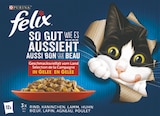 Multipack Angebote von Purina Beneful oder Felix bei Rossmann Stendal für 3,99 €