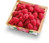 Himbeeren von Driscoll's im aktuellen Netto Marken-Discount Prospekt für 2,19 €