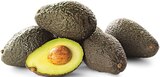Avocado für 1,99 € bei Penny-Markt im Angebot Avocado im aktuellen Penny-Markt Prospekt