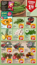 Pflanzen im REWE Prospekt in Darmstadt Aktueller REWE Prospekt mit Pflanzen, "Dein Markt", Seite 9