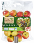 Aktuelles Äpfel Angebot bei Netto Marken-Discount in Freiburg (Breisgau) ab 2,49 €
