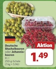 Deutsche Stachelbeeren für 1,49 € bei combi im Angebot Deutsche Stachelbeeren im aktuellen combi Prospekt