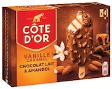 Bâtonnets glacés - Côte d'Or - Super U à Valence Bâtonnets glacés - Côte d'Or en promo chez Super U Valence à 1,39 €