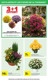 Chrysanthèmes en promo dans le catalogue Carrefour à la page 62