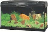 Aquarium Complete im Angebot bei ZooRoyal in Pinneberg Aquarium Complete Angebote von Marina bei ZooRoyal Pinneberg für 59,99 €