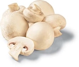 Champignons weiß für 1,69 € bei Netto Marken-Discount im Angebot Champignons weiß im aktuellen Netto Marken-Discount Prospekt