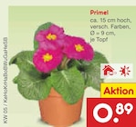 Primel im Netto Marken-Discount Prospekt Primel von im aktuellen Netto Marken-Discount Prospekt für 0,89 €