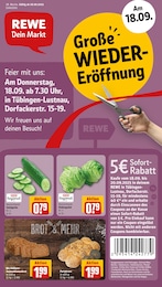 REWE Prospekt für Tübingen mit 18 Seiten REWE Prospekt "Dein Markt" für Tübingen, 18 Seiten, 15.09.2025 - 20.09.2025