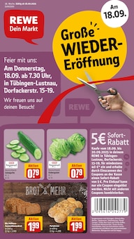Aktueller REWE Prospekt "Dein Markt" Seite 1 von 18 Seiten für Tübingen