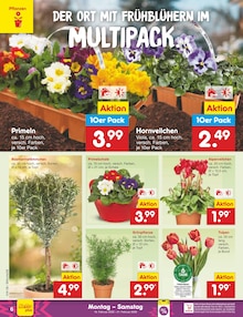 Blumen im Netto Marken-Discount Prospekt "Aktuelle Angebote" mit 54 Seiten (Bielefeld)