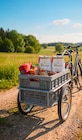 Aktuelles Premium Pils Partyfass Angebot bei Thomas Philipps in Hilden ab 7,77 €