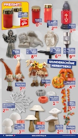 Ähnliche Zitronenbaum Angebote im Prospekt "Da geht was." von CENTERSHOP in Mönchengladbach Ähnliche Angebote wie Zitronenbaum im Prospekt "Da geht was." auf Seite 6 von CENTERSHOP in Mönchengladbach