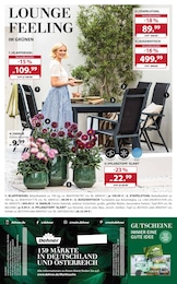 Dehner Garten-Center Ausziehtisch im Prospekt Dehner Garten-Center Ausziehtisch im Prospekt