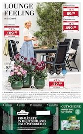 Aktueller Dehner Garten-Center Prospekt mit Fernsehsessel, "SOMMER MEDITERRAN", Seite 16