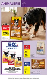 Promos Croquettes Chien dans le catalogue "Carrefour" de Carrefour Croquettes Chien en promo dans le catalogue Carrefour à la page 53