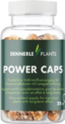 Aquariumpflanzendünger Power Caps im Angebot bei Hornbach in Paderborn Aquariumpflanzendünger Power Caps Angebote von Dennerle bei Hornbach Paderborn für 13,99 €