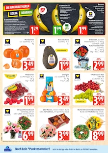 Marktkauf Prospekt der aktuellen Woche, gültig von 28.09.2026 bis 02.10.2026 Aktueller Marktkauf Prospekt "Top Angebote" mit 36 Seiten