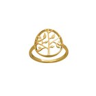 BAGUE, BOUCLES D'OREILLES OU BRACELET PLAQUÉ OR en promo chez Auchan Hypermarché Cannes à 39,00 €