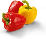 Bio Paprika Mix Angebote von BioBio bei Netto Marken-Discount Tübingen