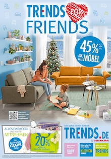 Trends Haan Prospekt der aktuellen Woche, gültig von 01.11.2025 bis 14.11.2025 Aktueller Trends Haan Prospekt "Trends for Friends - Alles sofort für dein Zuhause." mit 8 Seiten