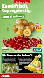 Aktueller Penny Prospekt mit Bananen, "Wer günstig will, muss Penny.", Seite 2