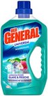 Allzweckreiniger Bergfrühling Angebote von Der General bei Kaufland Dresden für 1,59 €
