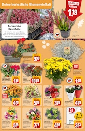 Aktueller REWE Prospekt mit Blumenerde, "Dein Markt", Seite 7