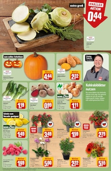 Kürbis im aktuellen REWE Prospekt (Köln) Kürbis im REWE Prospekt "Dein Markt" mit 35 Seiten (Köln)