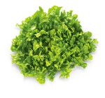 Endiviensalat Angebote von REWE Regional bei REWE Heidelberg für 1,29 €