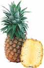 Elfenbeinküste Ananas „Extra Sweet“ bei E center im Prospekt "" für 2,99 €