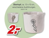 Übertopf Angebote bei Möbel AS Frankenthal für 2,00 €