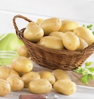 Pomme de terre de consommation nouvelle récolte - Super U à Carcassonne Pomme de terre de consommation nouvelle récolte en promo chez Super U Carcassonne à 2,99 €
