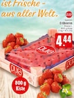 Erdbeeren bei EDEKA im Löhne Prospekt für 4,44 €