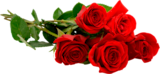 Promo BOUQUET DE 5 ROSES TRÈS GROS BOUTONS à 6,29 € dans le catalogue Auchan Supermarché à Beaumont