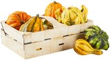 Zierkürbisse im Angebot bei REWE in Flensburg Zierkürbisse Angebote bei REWE Flensburg für 3,99 €