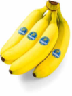 Aktuelle Bananen Angebote bei Netto Marken-Discount in München Aktuelles Bananen Angebot bei Netto Marken-Discount in München ab 1,99 €