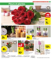 Promos Fleurs dans le catalogue "Carrefour Market" de Carrefour Market à la page 41