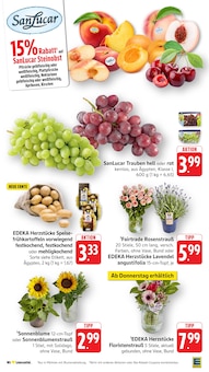 Pflanzen im aktuellen EDEKA Prospekt (Koblenz) Pflanzen im EDEKA Prospekt "Aktuelle Angebote" mit 48 Seiten (Koblenz)