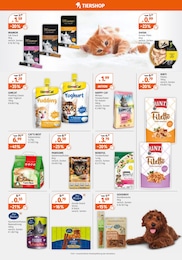 Katzenzubehör Angebot im aktuellen Müller Prospekt auf Seite 12