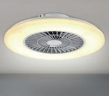 Deckenleuchte mit Ventilator Angebote von toom bei toom Baumarkt Erfurt für 79,99 €