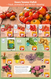 Kartoffeln im REWE Prospekt "Dein Markt" auf Seite 7